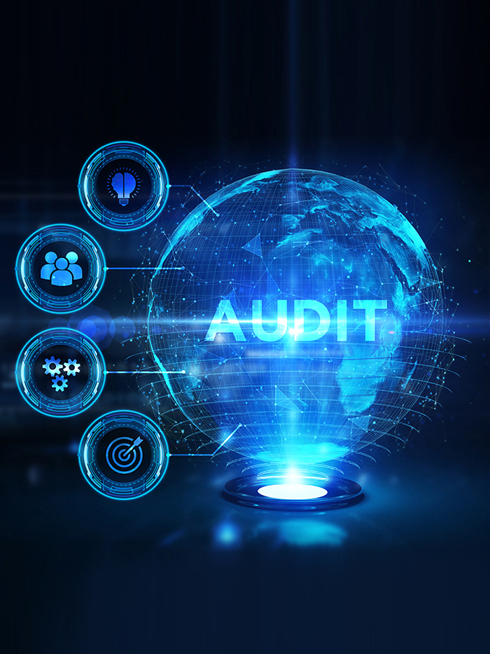 audit management listing image