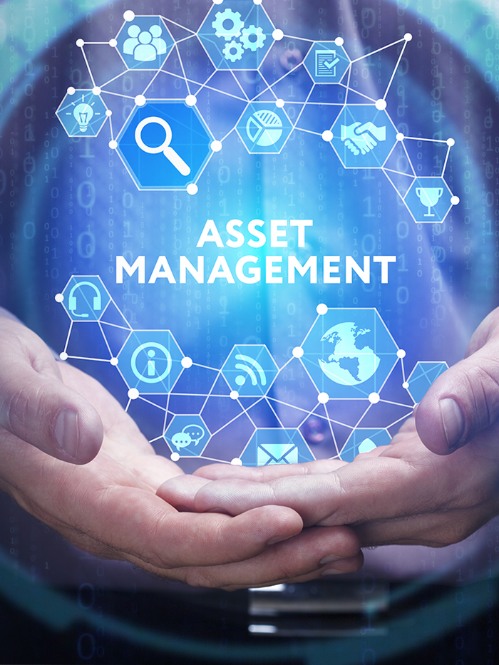 It Asset Management listing image