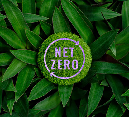 net zero