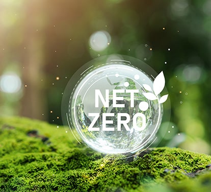 Net zero cloud case study