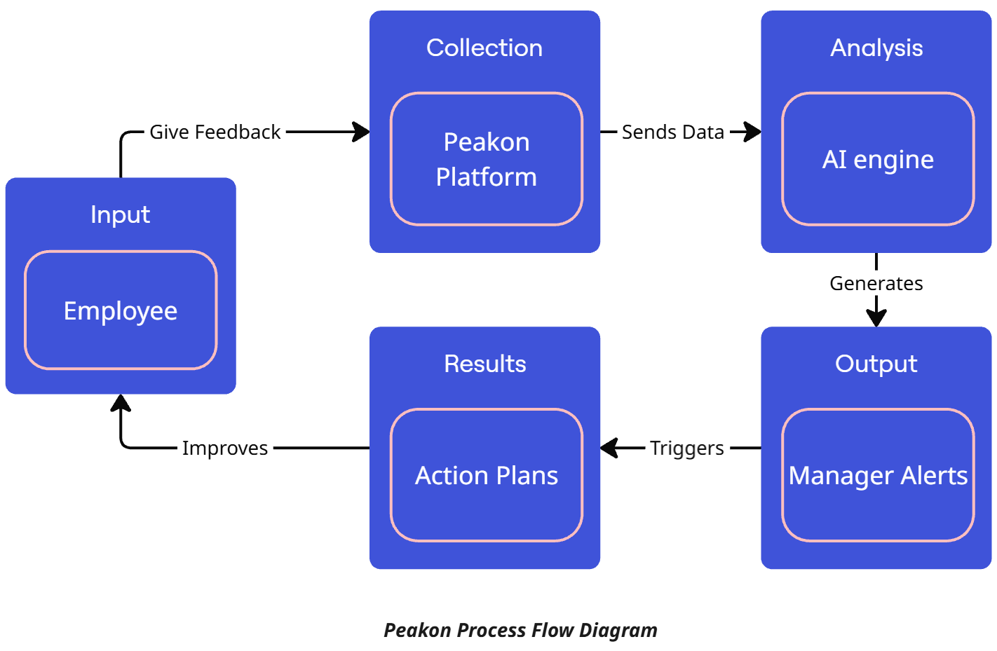 Workday Peakon Process