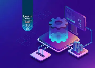 Boomi Hosting Services