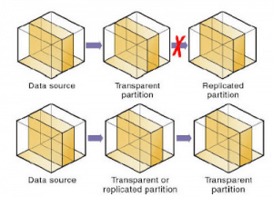Replicated Partition